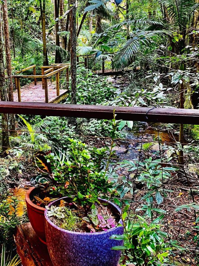 Treetops มอนต์วิลล์ ภายนอก รูปภาพ