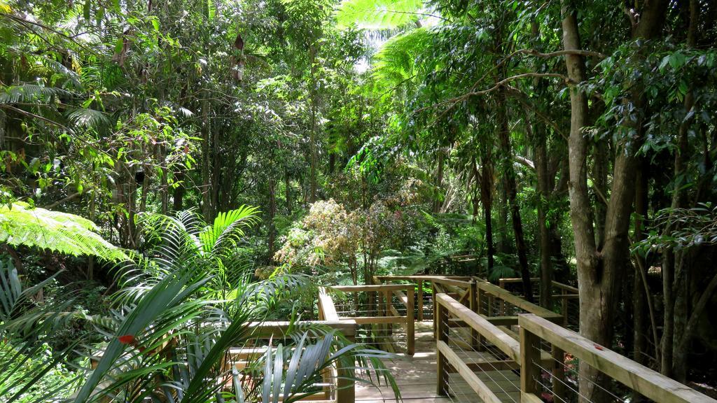 Treetops มอนต์วิลล์ ภายนอก รูปภาพ
