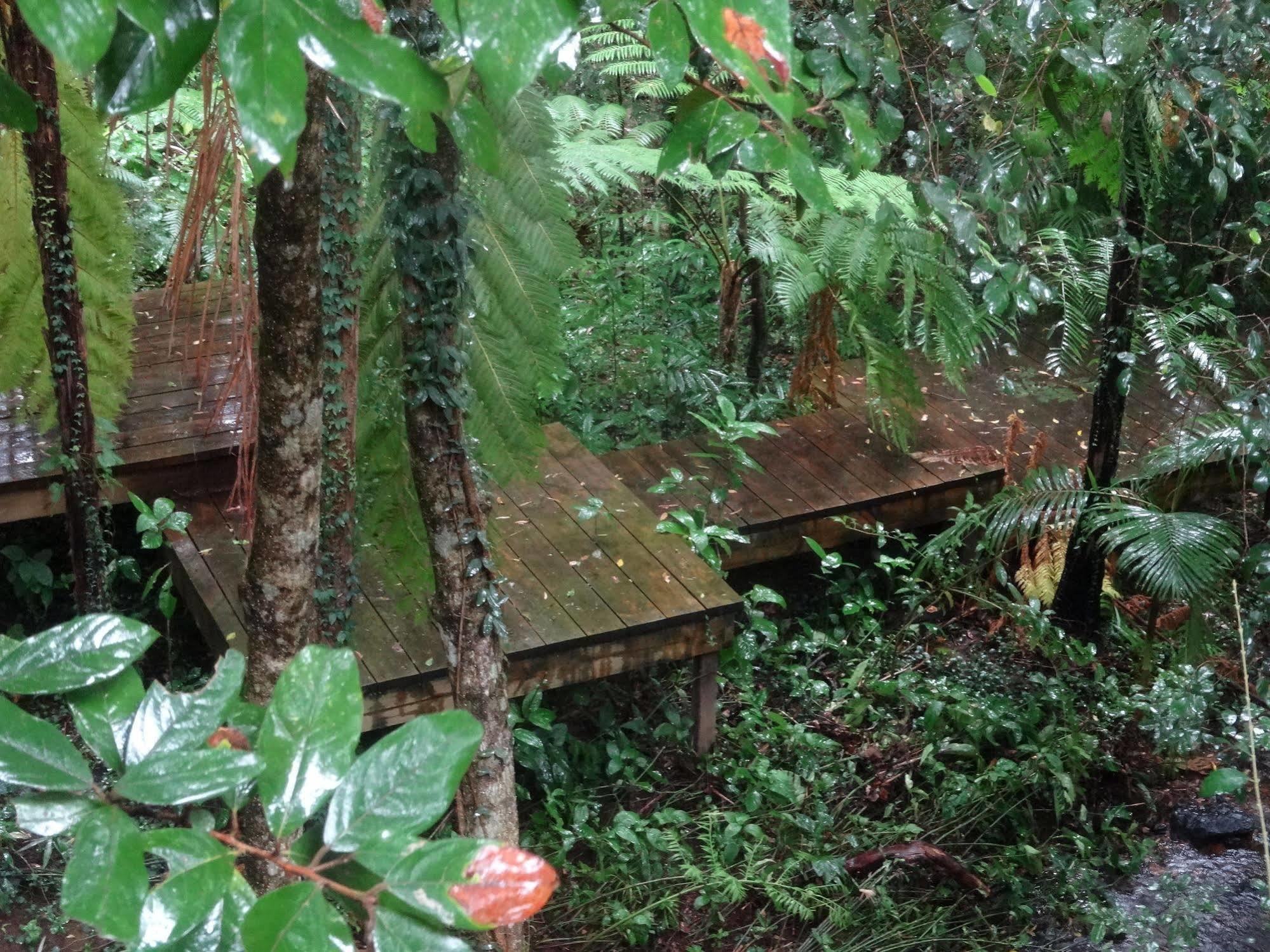 Treetops มอนต์วิลล์ ภายนอก รูปภาพ