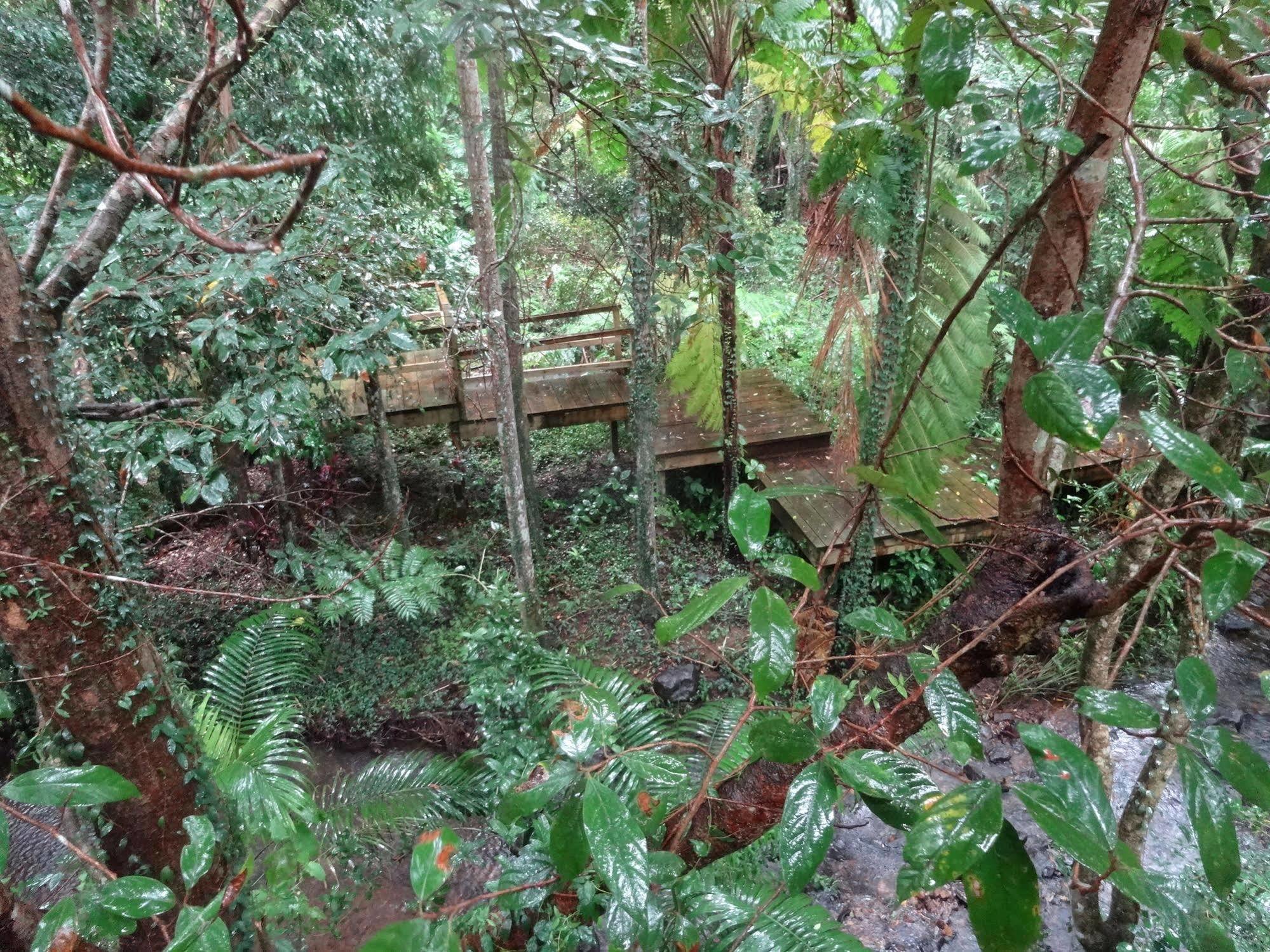 Treetops มอนต์วิลล์ ภายนอก รูปภาพ