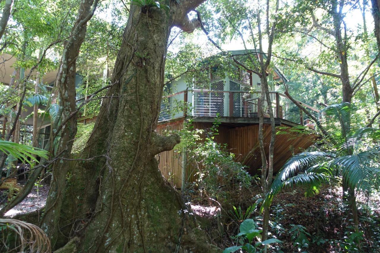 Treetops มอนต์วิลล์ ภายนอก รูปภาพ